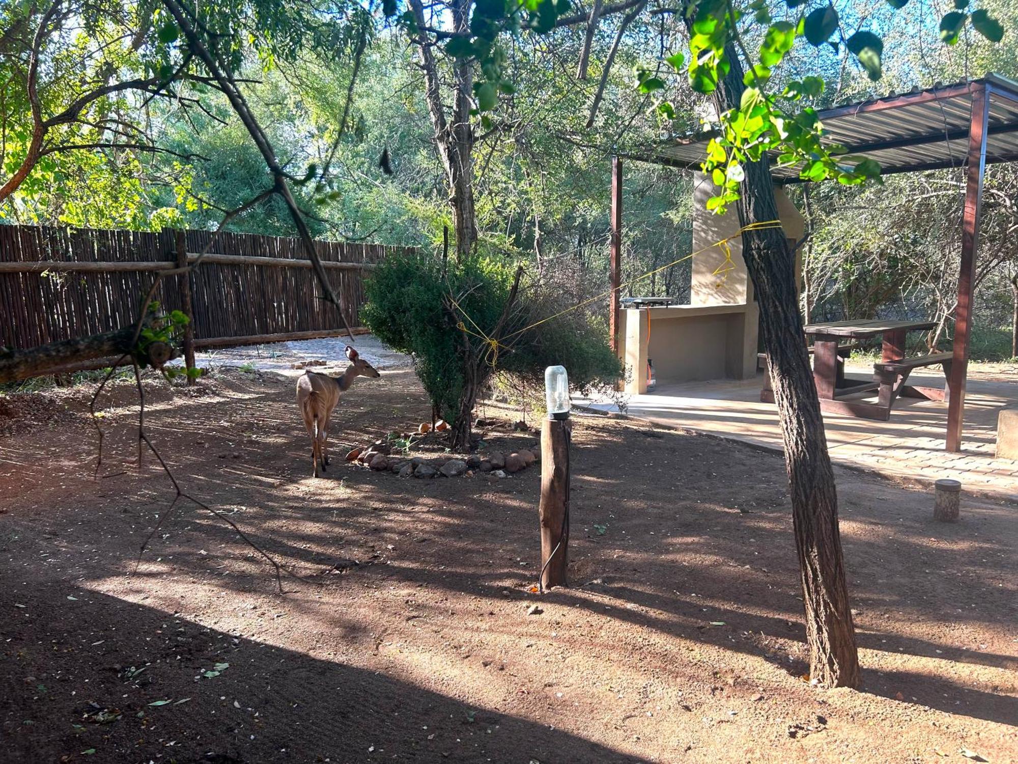 Athule Inn Marloth - Units Marloth Park Exterior foto